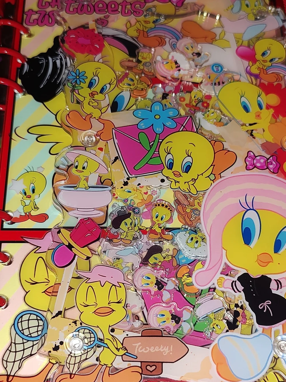 New! A5 Size Tweety Bird Acrylic Shaker Notebook